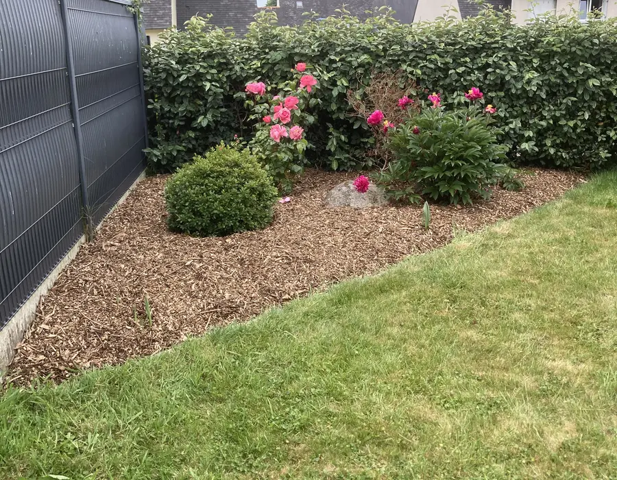 Massif fleuri et pelouse entretenus dans un jardin