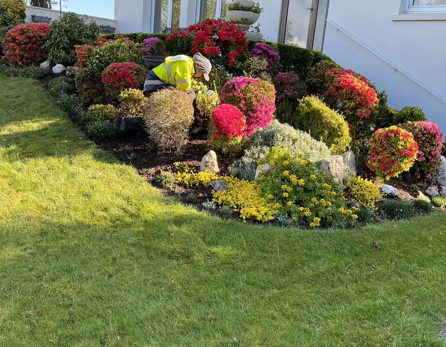 Massif fleuri entretenu devant une maison