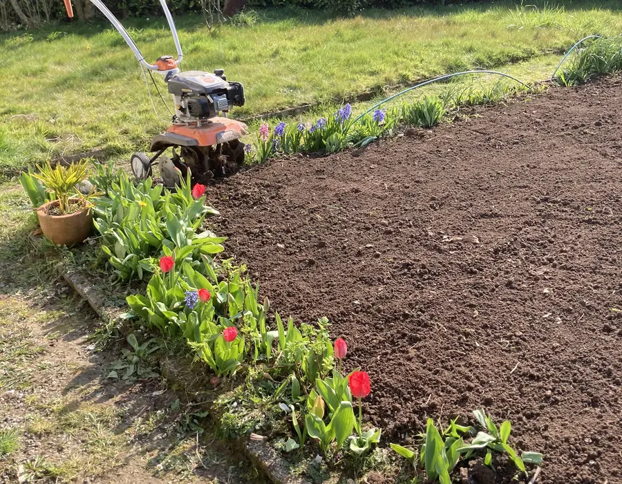 Travail du sol et désherbage d’un massif fleuri