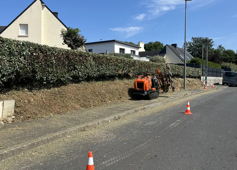 Débroussaillage d’un talus en bordure de propriété