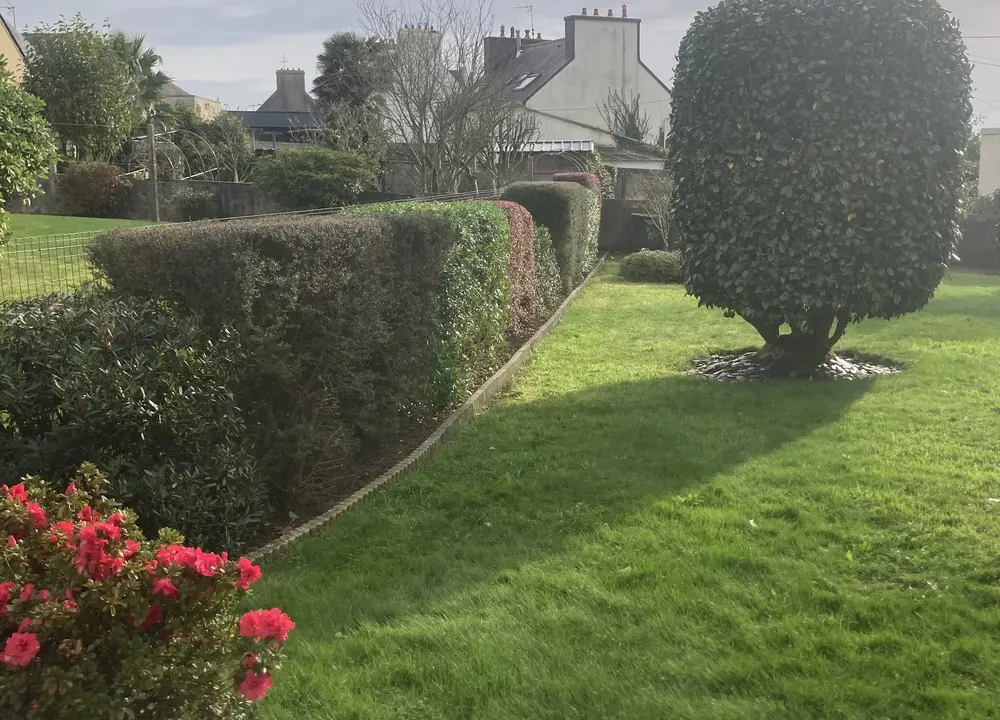 Jardin avec pelouse, haies et massifs entretenus