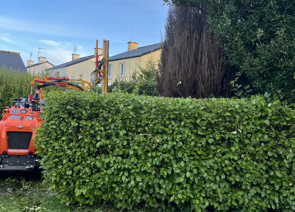 Taille mécanique d’une haie de jardin