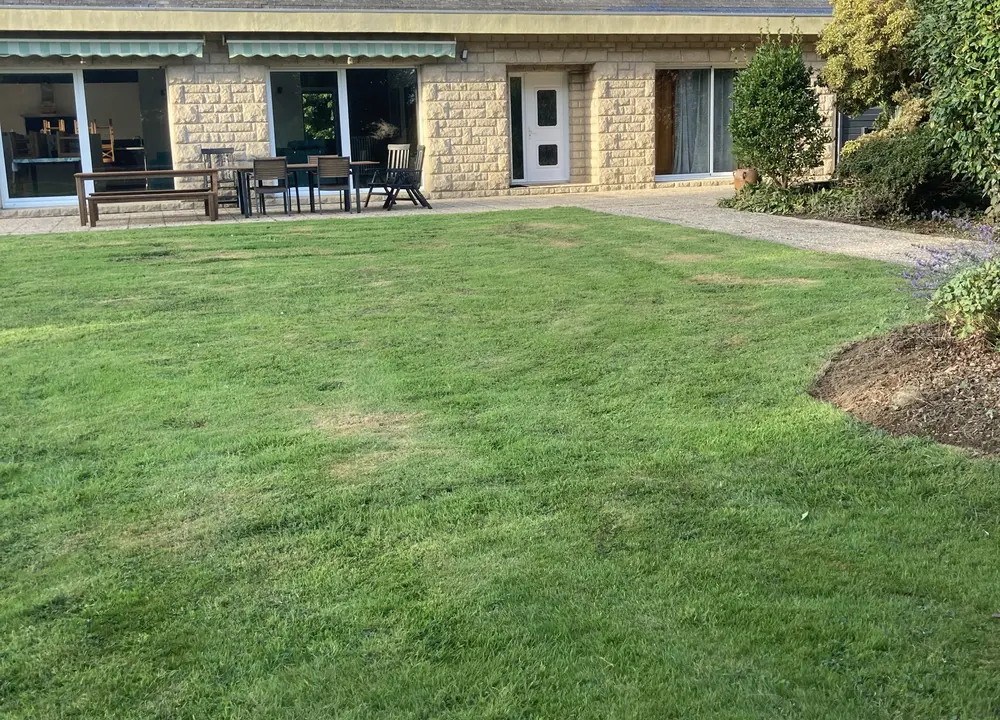 Pelouse fraîchement tondue devant une maison